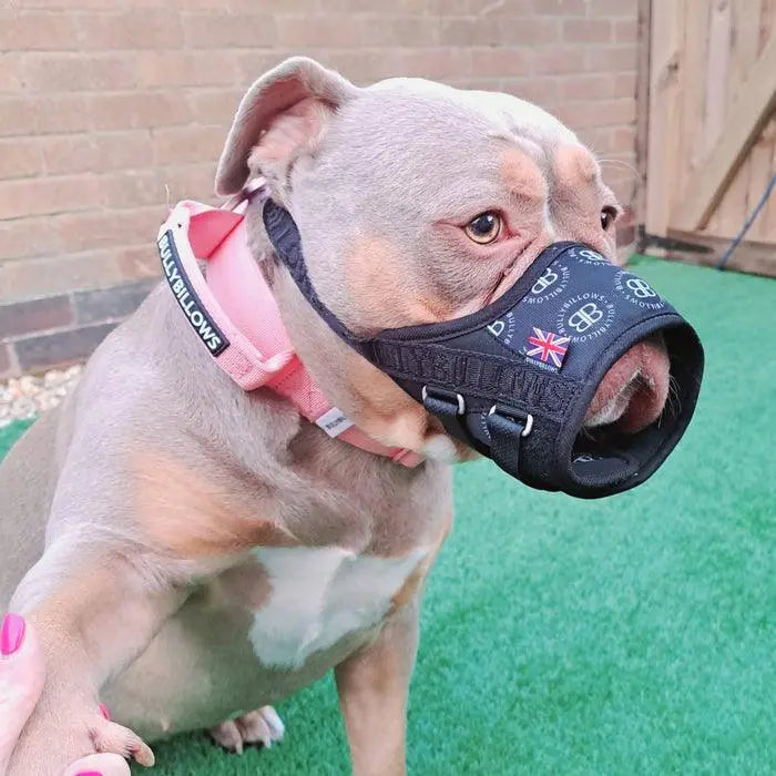 Bullybillows - FABRIC SAFETY/EMERGENCY MUZZLE - SIGNATURE BLACK - Muzzle for dogs - PAWMART.ca