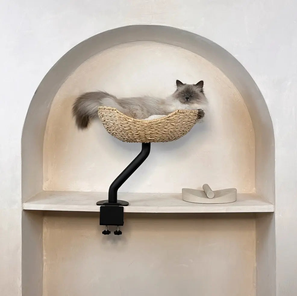 ERGO PURRCH - The Sustainable Desk-Mounted Cat Bed ERGO PURRCH INC