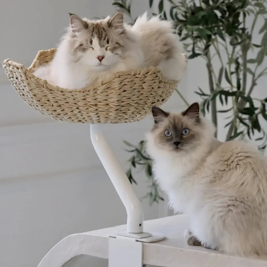 ERGO PURRCH - The Sustainable Desk-Mounted Cat Bed ERGO PURRCH INC