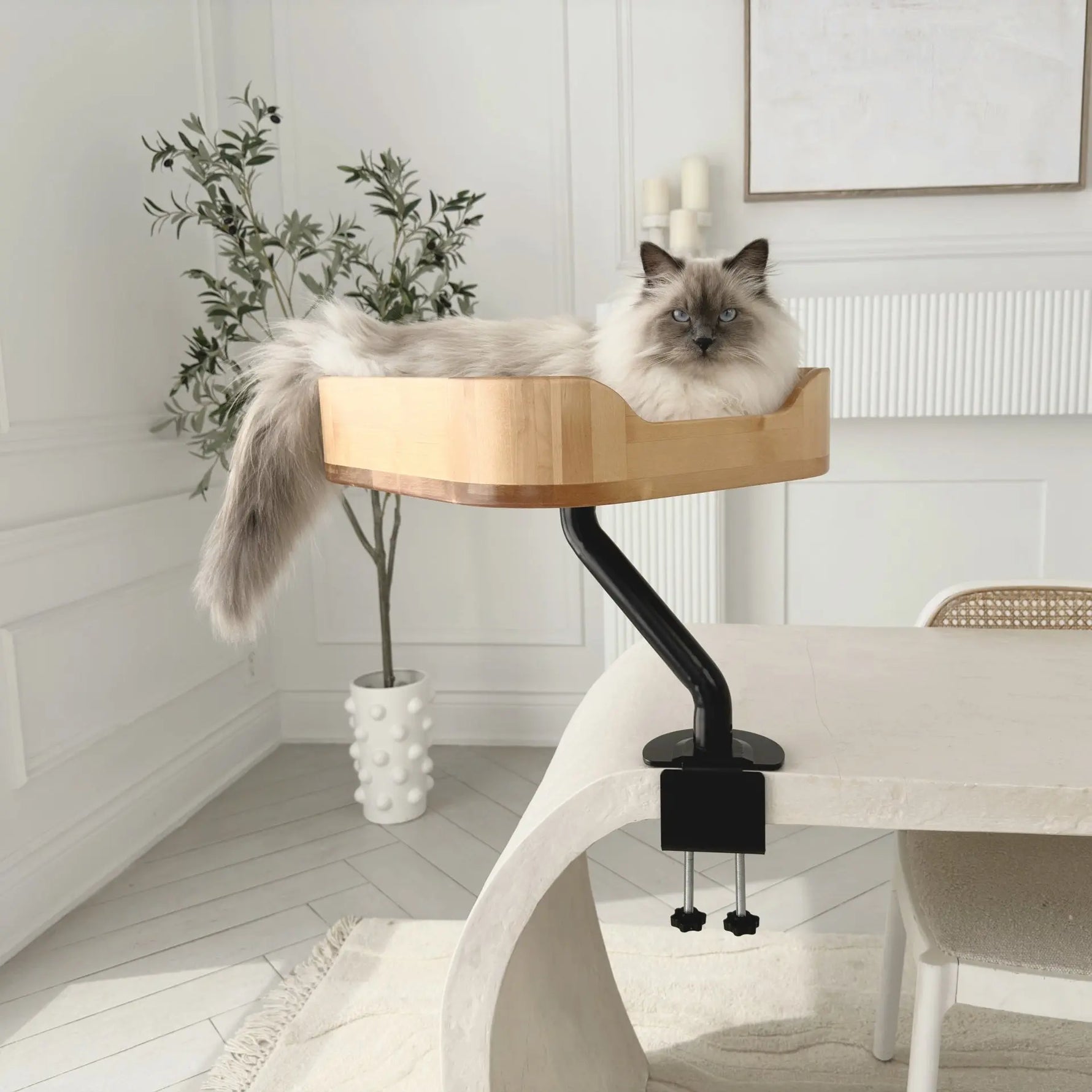 ERGO PURRCH - The Sustainable Desk-Mounted Cat Bed ERGO PURRCH INC
