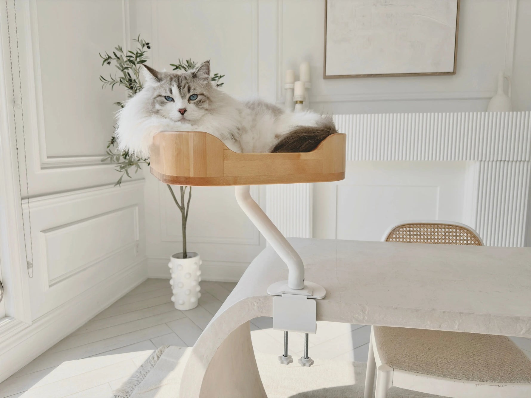 ERGO PURRCH - The Sustainable Desk-Mounted Cat Bed ERGO PURRCH INC