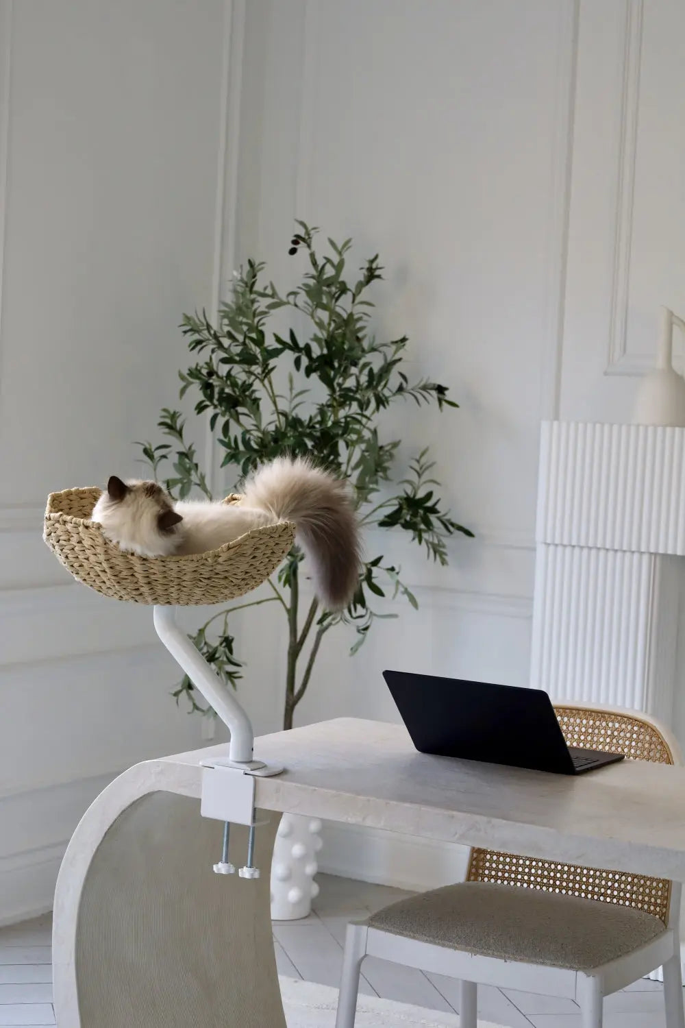 ERGO PURRCH - The Sustainable Desk-Mounted Cat Bed ERGO PURRCH INC