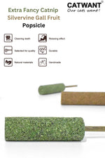 Extra Fancy Catnip Popsicle CATWANT