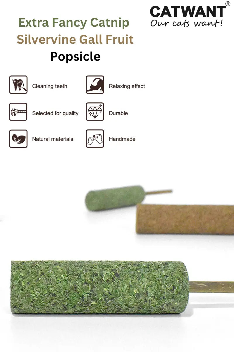 Extra Fancy Catnip Popsicle CATWANT