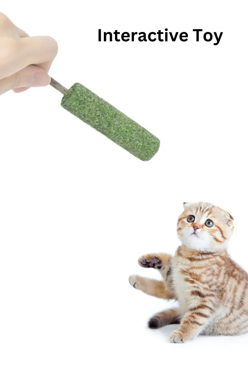 Extra Fancy Catnip Popsicle CATWANT