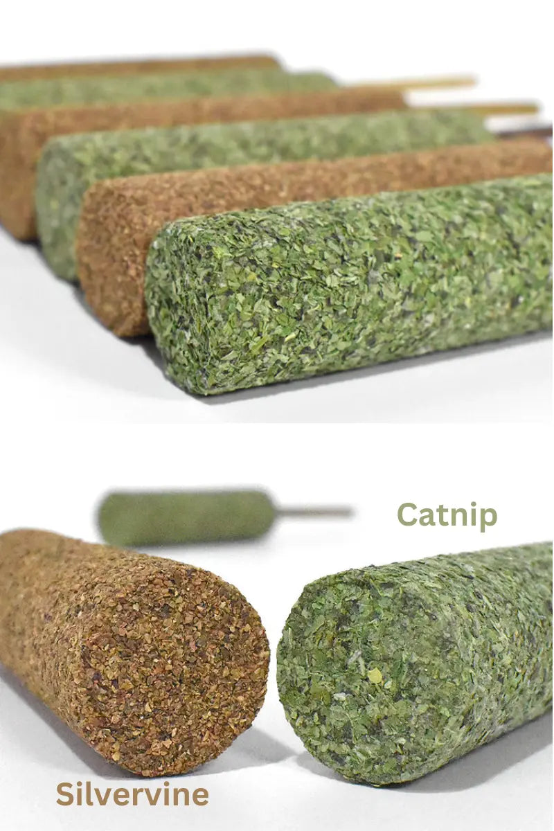Extra Fancy Catnip Popsicle CATWANT