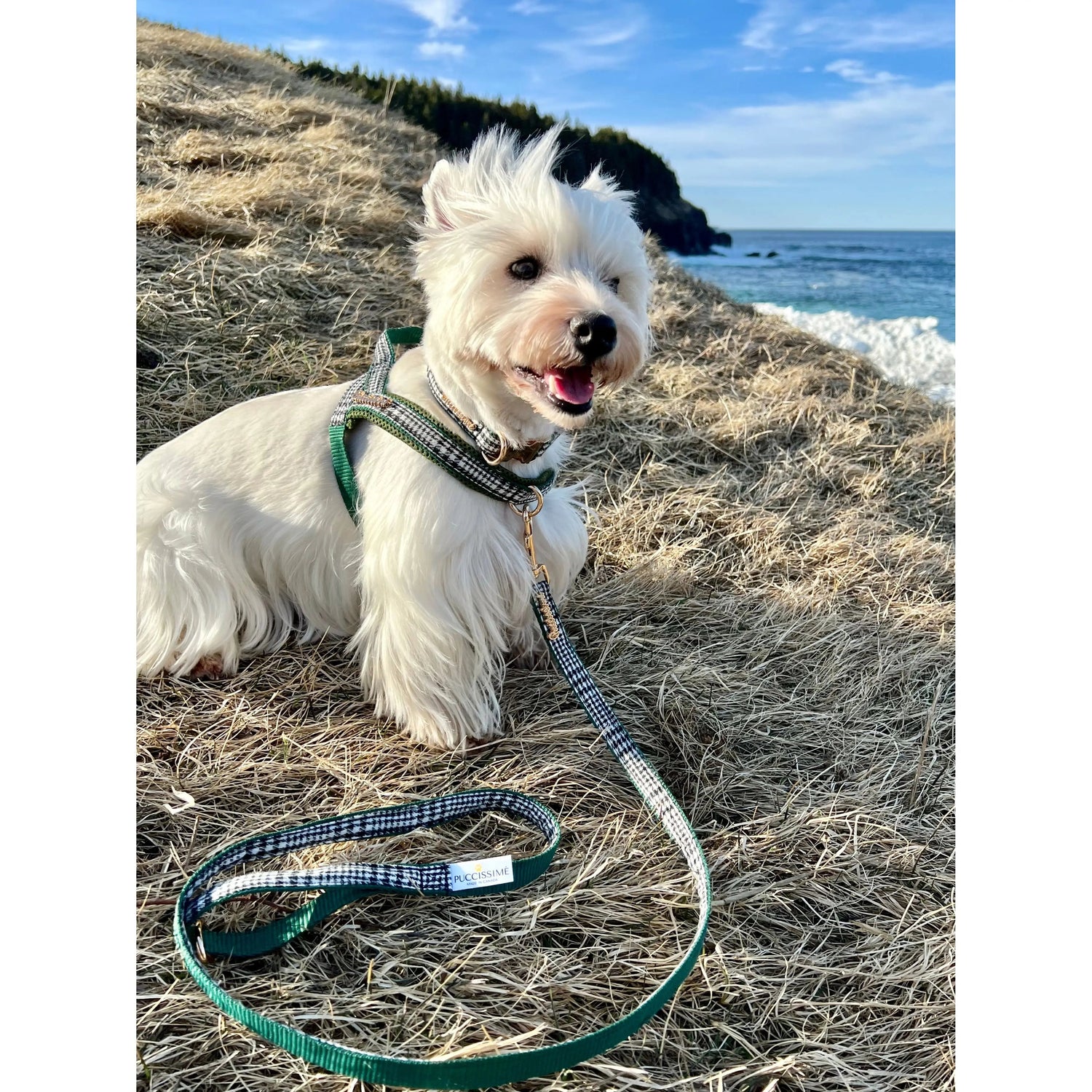 Fern Houndstooth Green One-Click Dog Harness Puccissimé Pet Couture