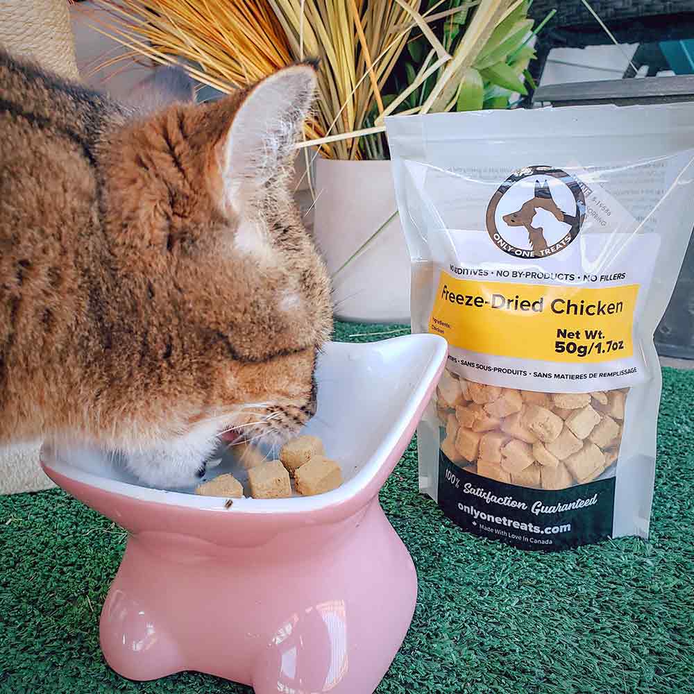 Freeze-Dried Chicken 50g Only One Treats