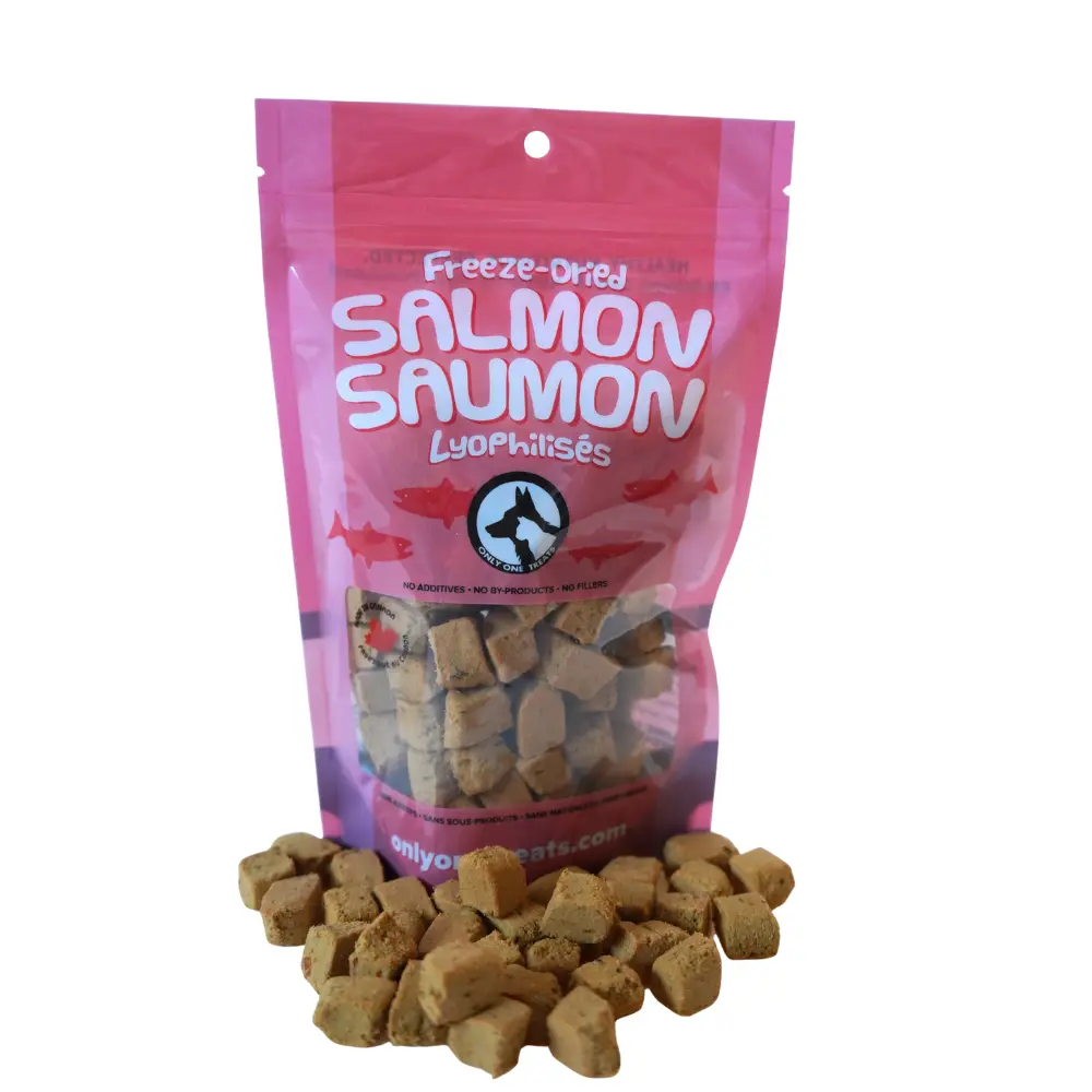 Freeze-Dried Salmon 43g Only One Treats