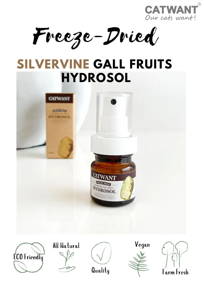 Freeze-Dried Silvervine Gall Fruit Hydrosol, 35 ML CATWANT