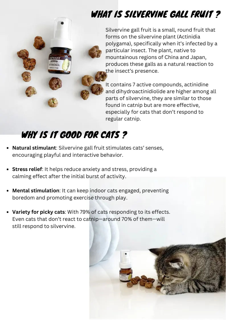 Freeze-Dried Silvervine Gall Fruit Hydrosol, 35 ML CATWANT