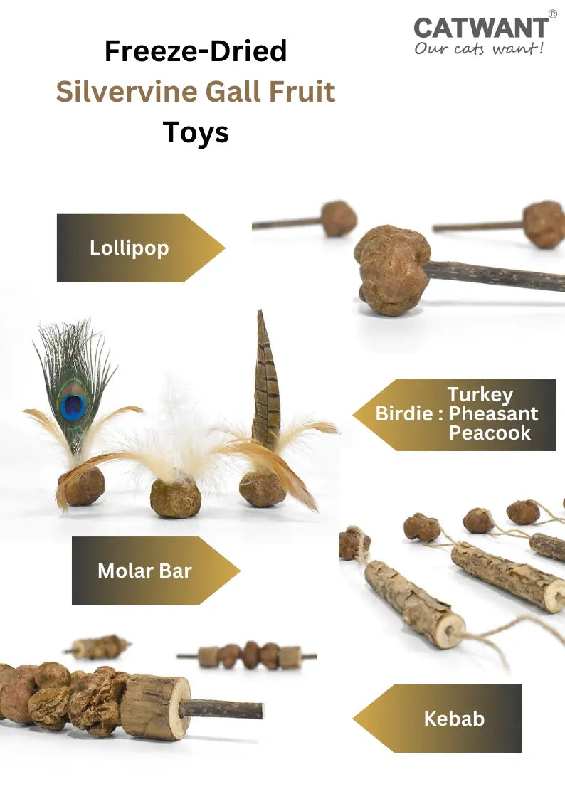 Freeze Dried Silvervine Gall Fruit Toys CATWANT