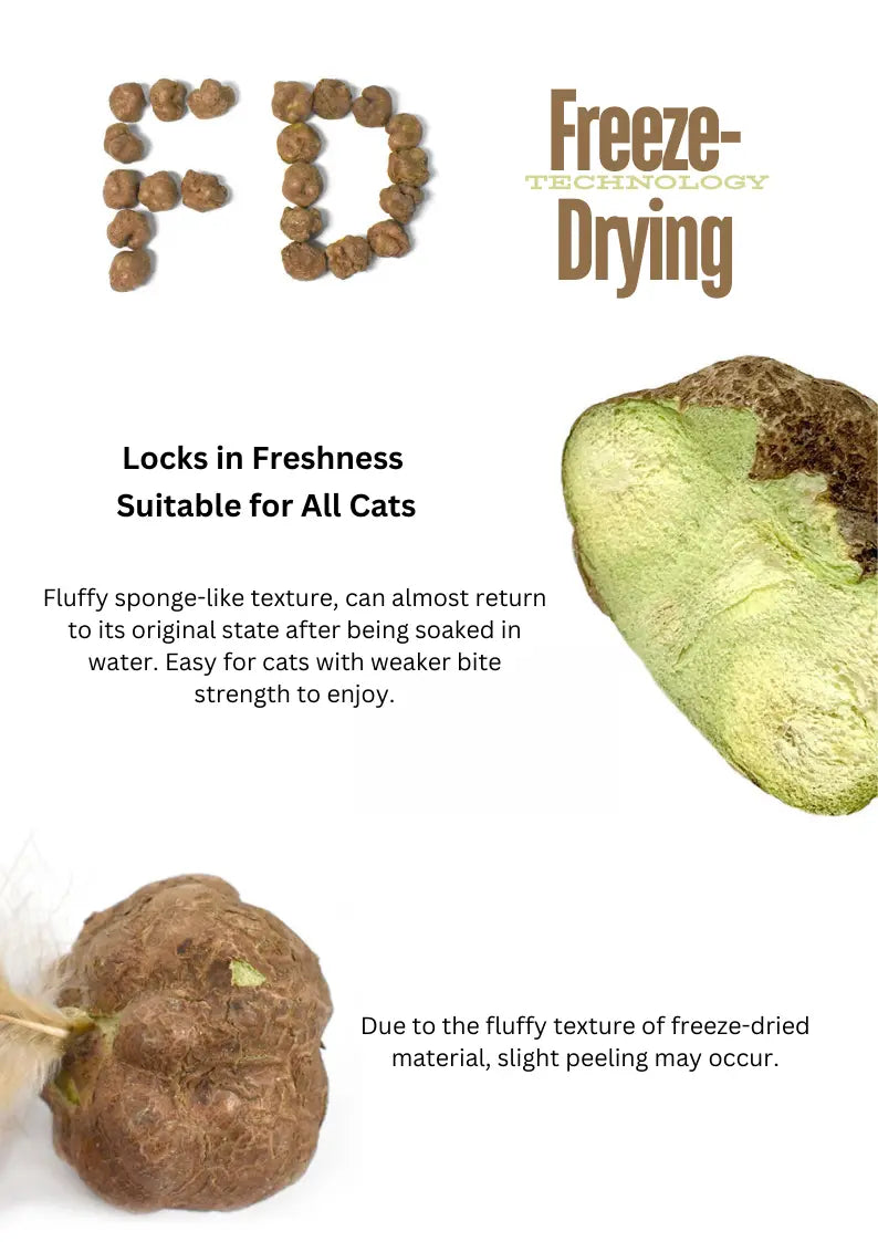 Freeze Dried Silvervine Gall Fruit Toys CATWANT