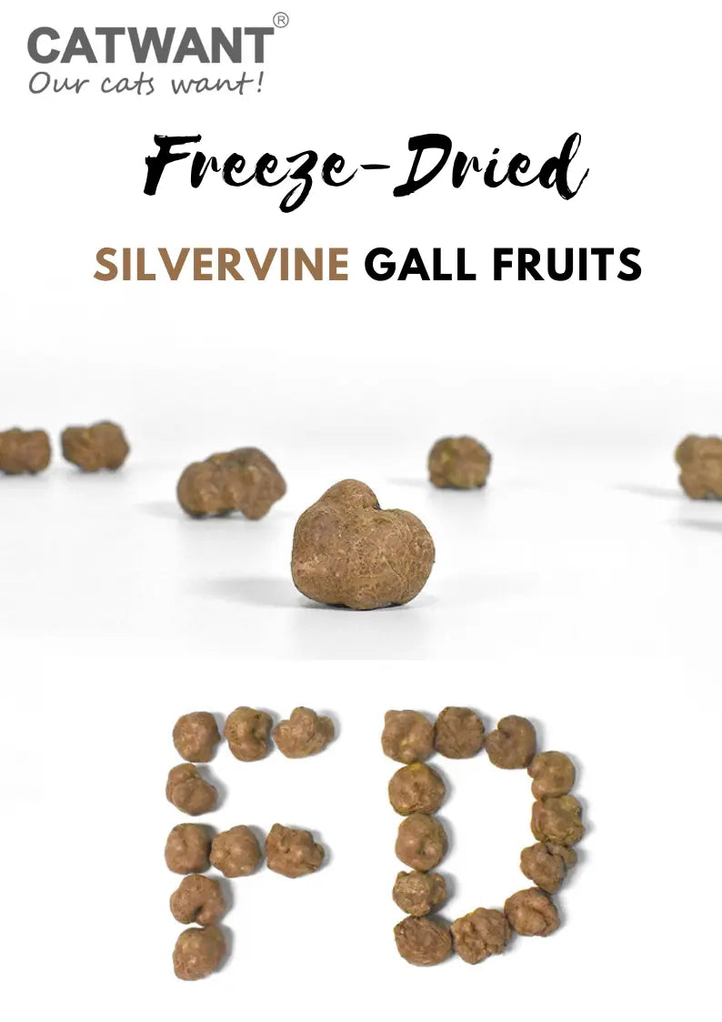 Freeze-Dried Silvervine Gall Fruits, 20g CATWANT