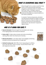 Freeze-Dried Silvervine Gall Fruits, 20g CATWANT