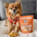 Fresh Soft Pumpkin Training Treats 170g Only One Treats