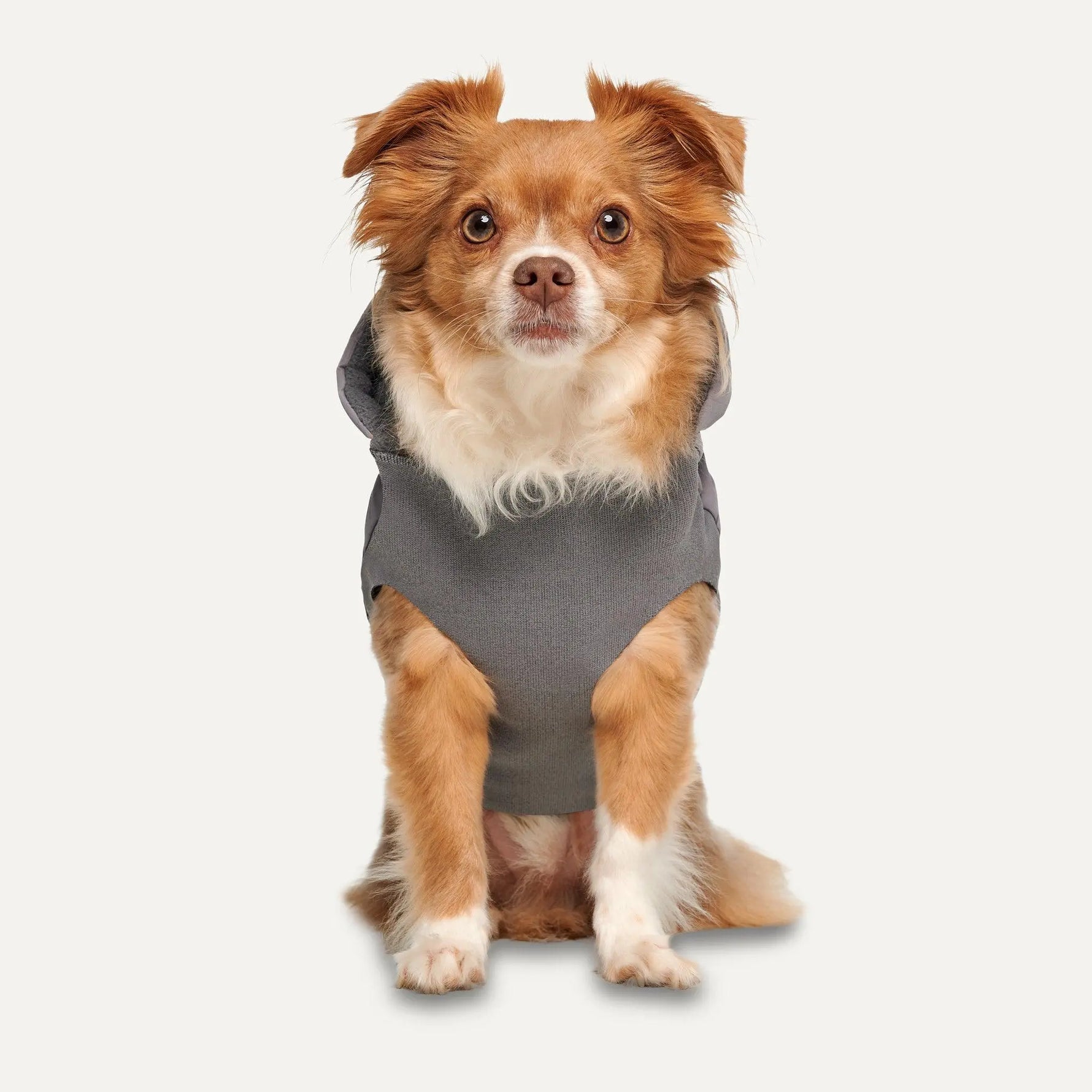 GOO-EEZ - Hooded full body snowsuit - Snowsuit for dog - PAWMART.ca