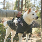 Gooby - Mountaineer Jacket Camo for Dogs GOOBY