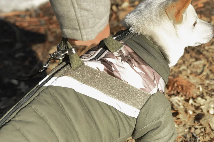 Gooby - Mountaineer Jacket Camo for Dogs GOOBY