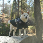 Gooby - Mountaineer Jacket Camo for Dogs - PAWMART.ca