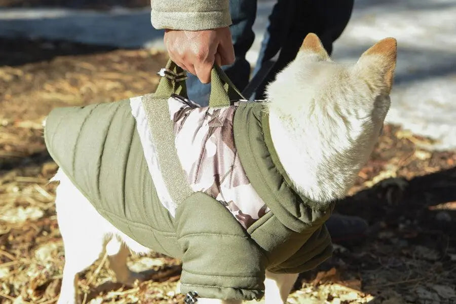 Gooby - Mountaineer Jacket Camo for Dogs - PAWMART.ca