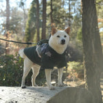 Gooby - Mountaineer Jacket Camo for Dogs GOOBY