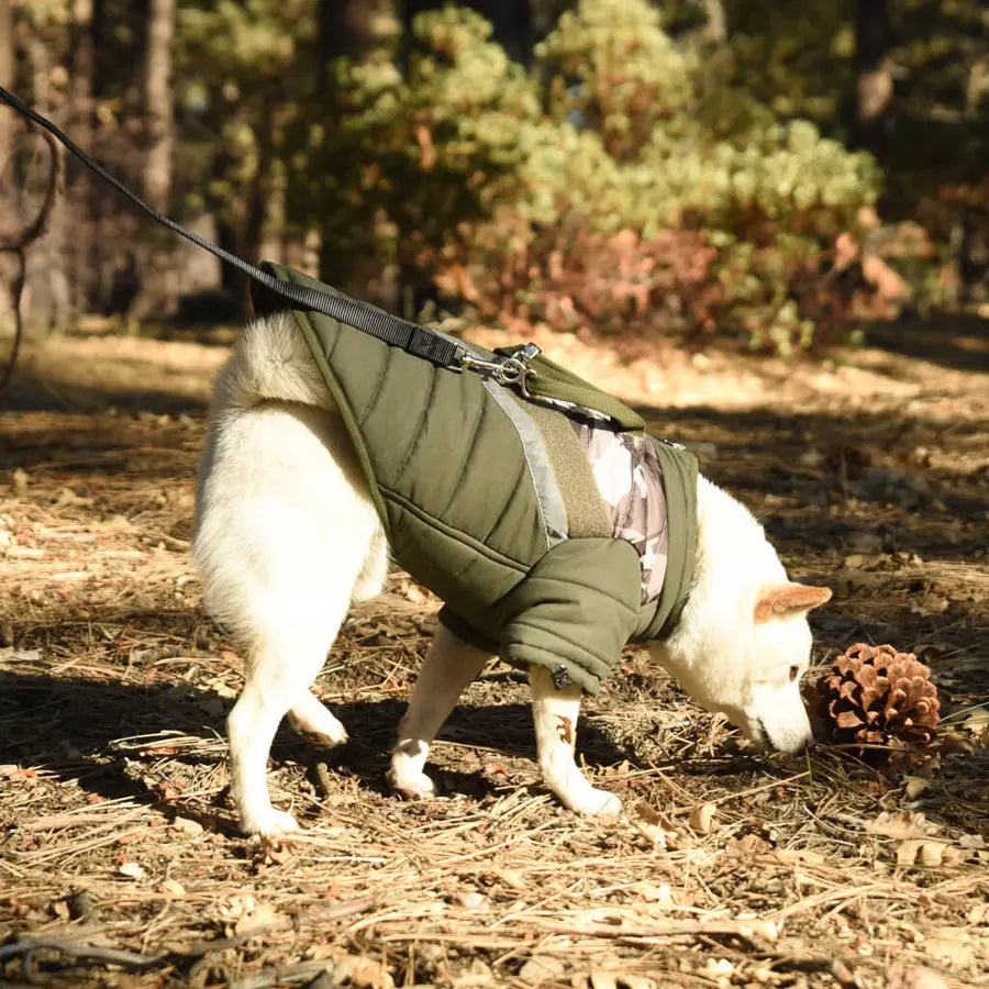 Gooby - Mountaineer Jacket Camo for Dogs GOOBY