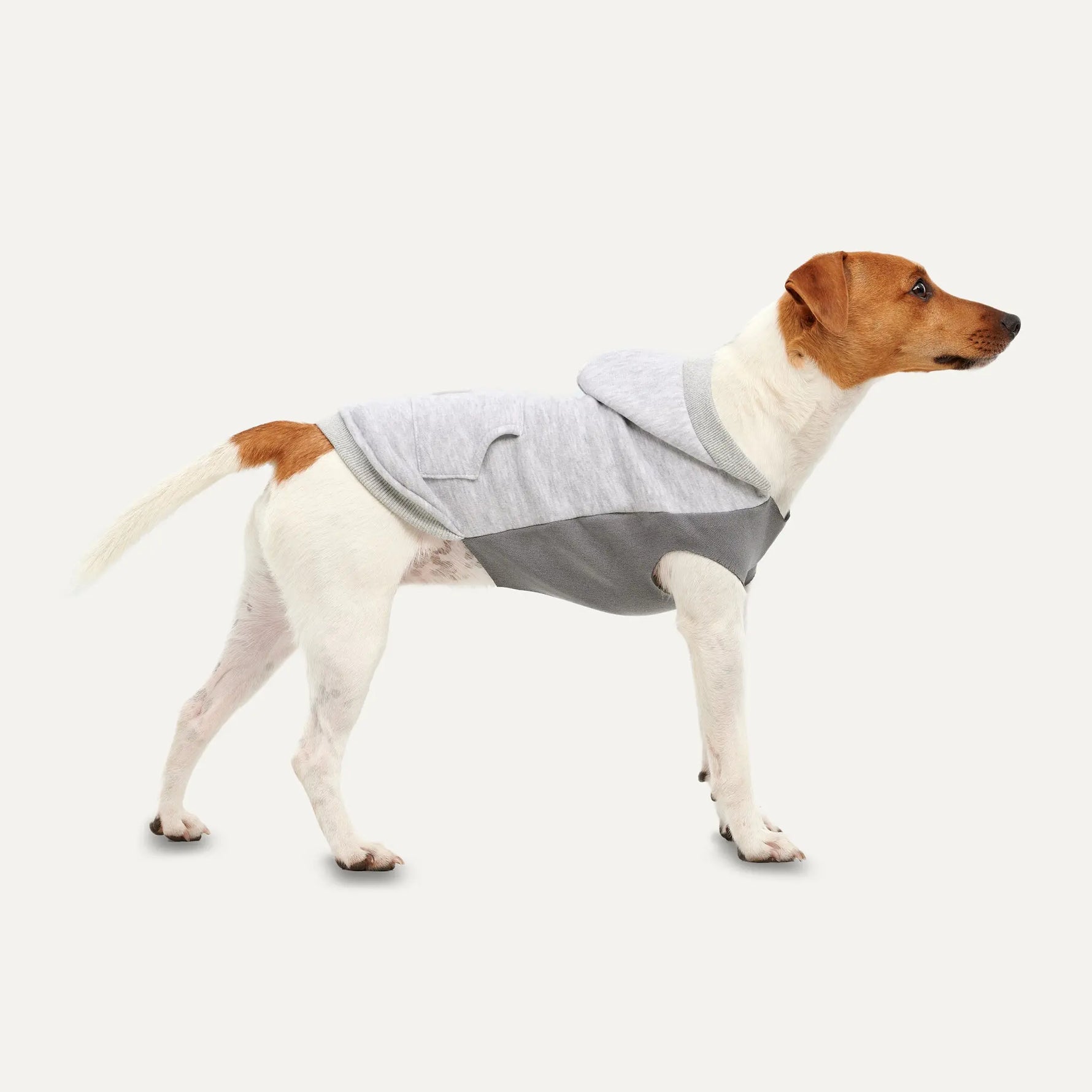 Gooeez - Kangaroo Fleece Hoodie - Hoodie for dogs GOOEEZ