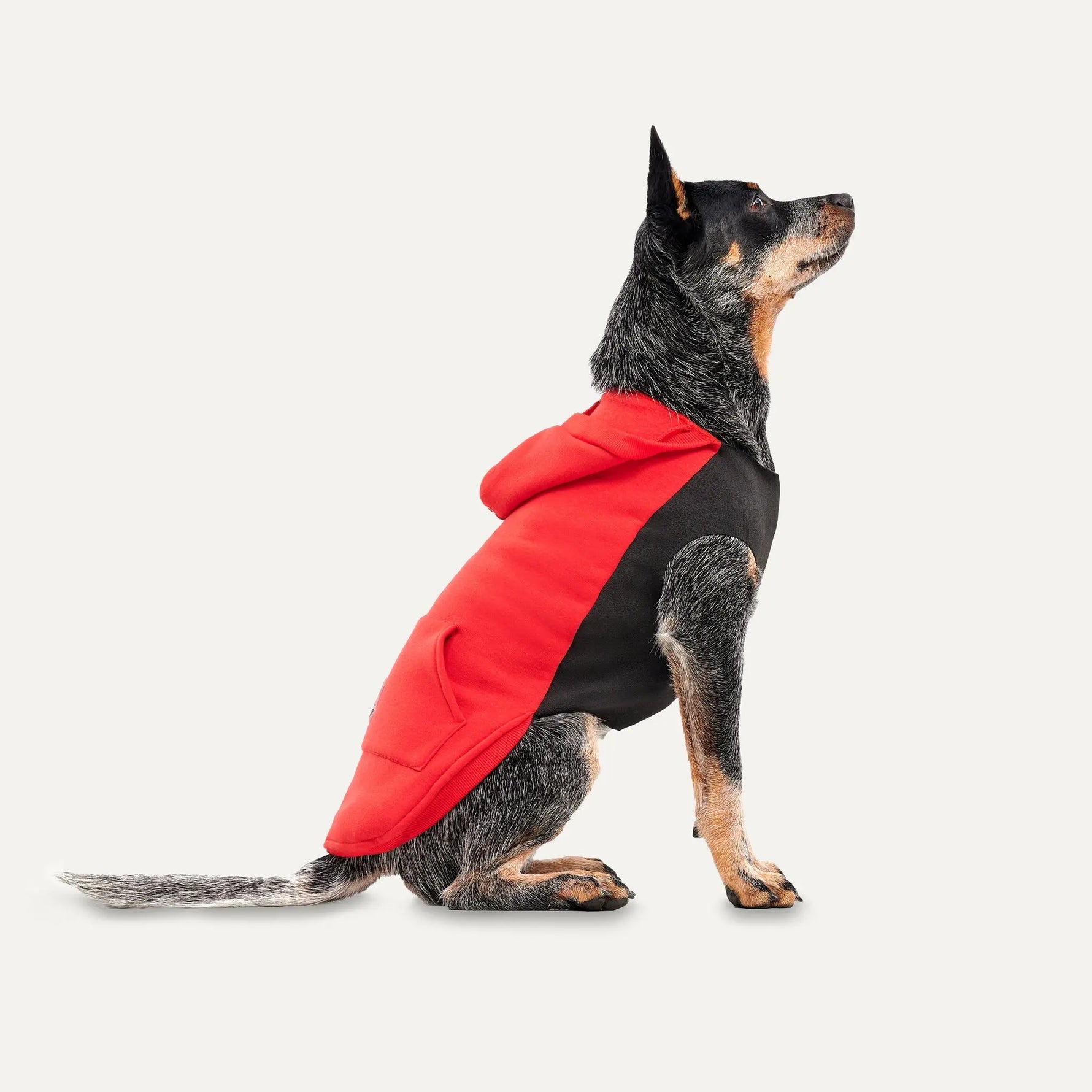 Gooeez - Kangaroo Fleece Hoodie - Hoodie for dogs GOOEEZ