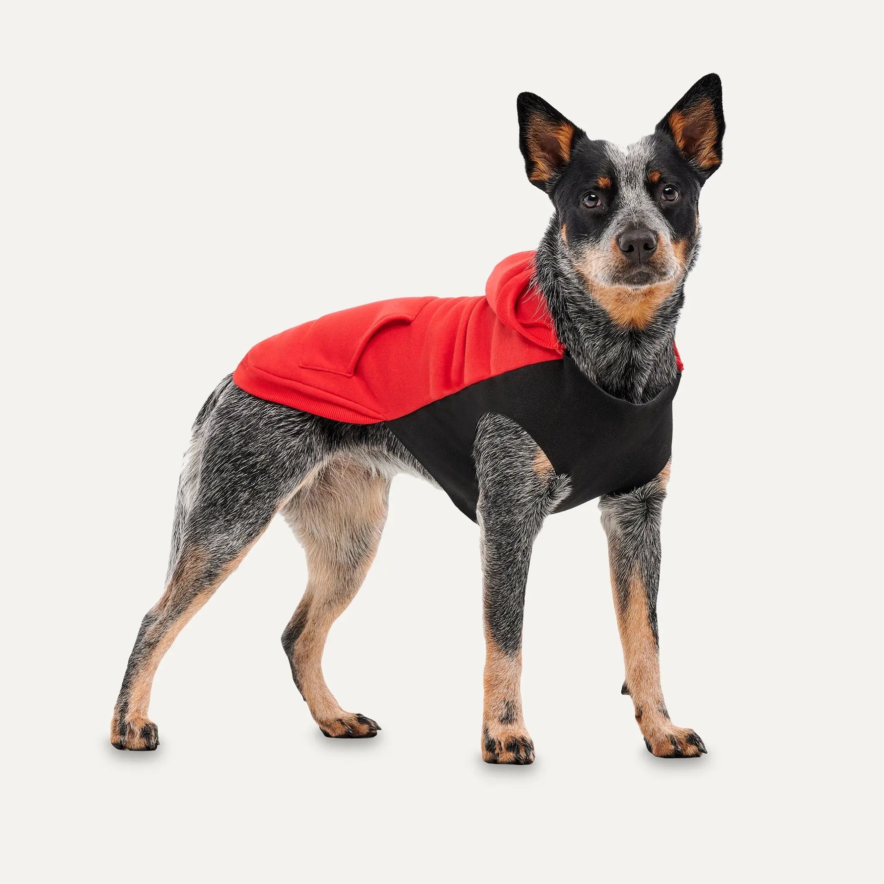 Gooeez - Kangaroo Fleece Hoodie - Hoodie for dogs GOOEEZ