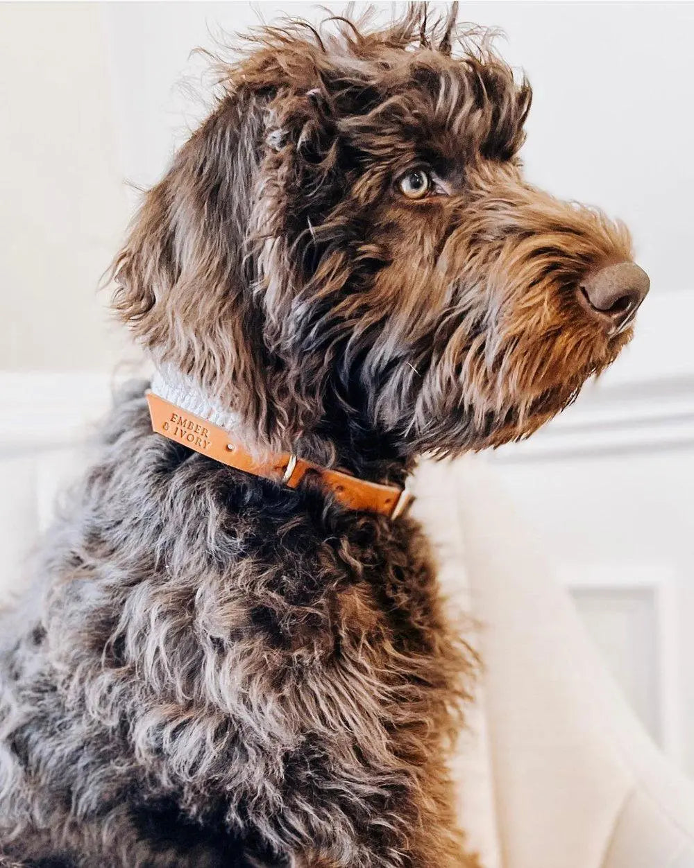 Ember & Ivory - Caramel/Gray Leather & Macrame Collar - PAWMART.ca