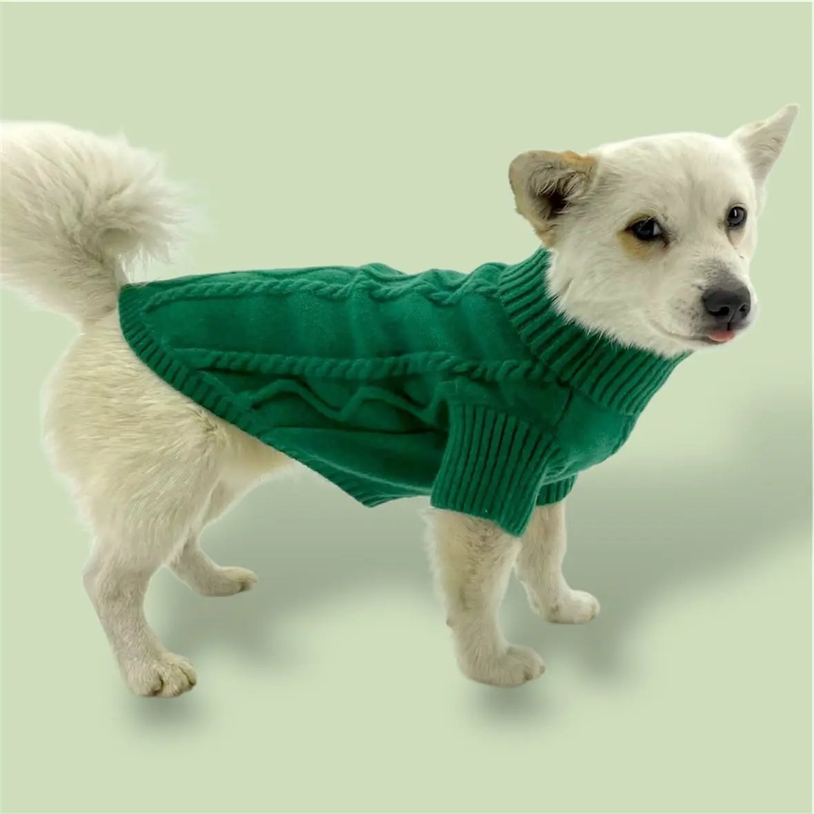 Green Sweater Puccissimé Pet Couture