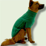 Green Sweater Puccissimé Pet Couture