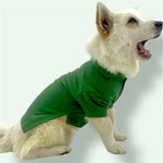 Green cotton shirt Puccissimé Pet Couture