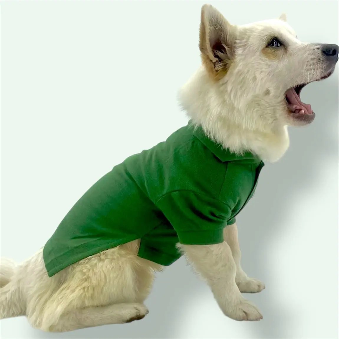 Green cotton shirt Puccissimé Pet Couture
