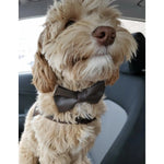 Grizzly Brown Collar Puccissimé Pet Couture