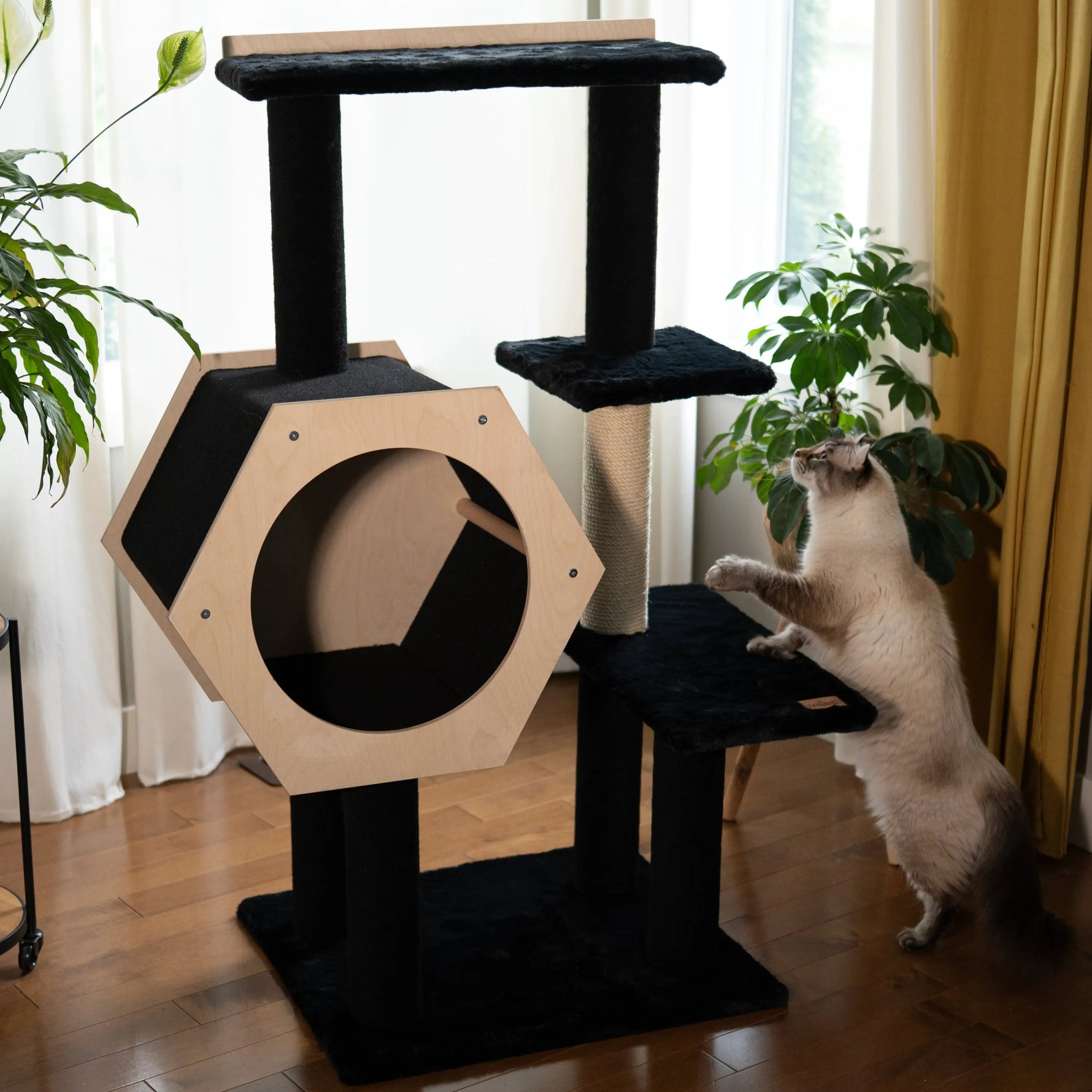 Hexagon House - 4-Level Cat Tree Noba Animal Co.