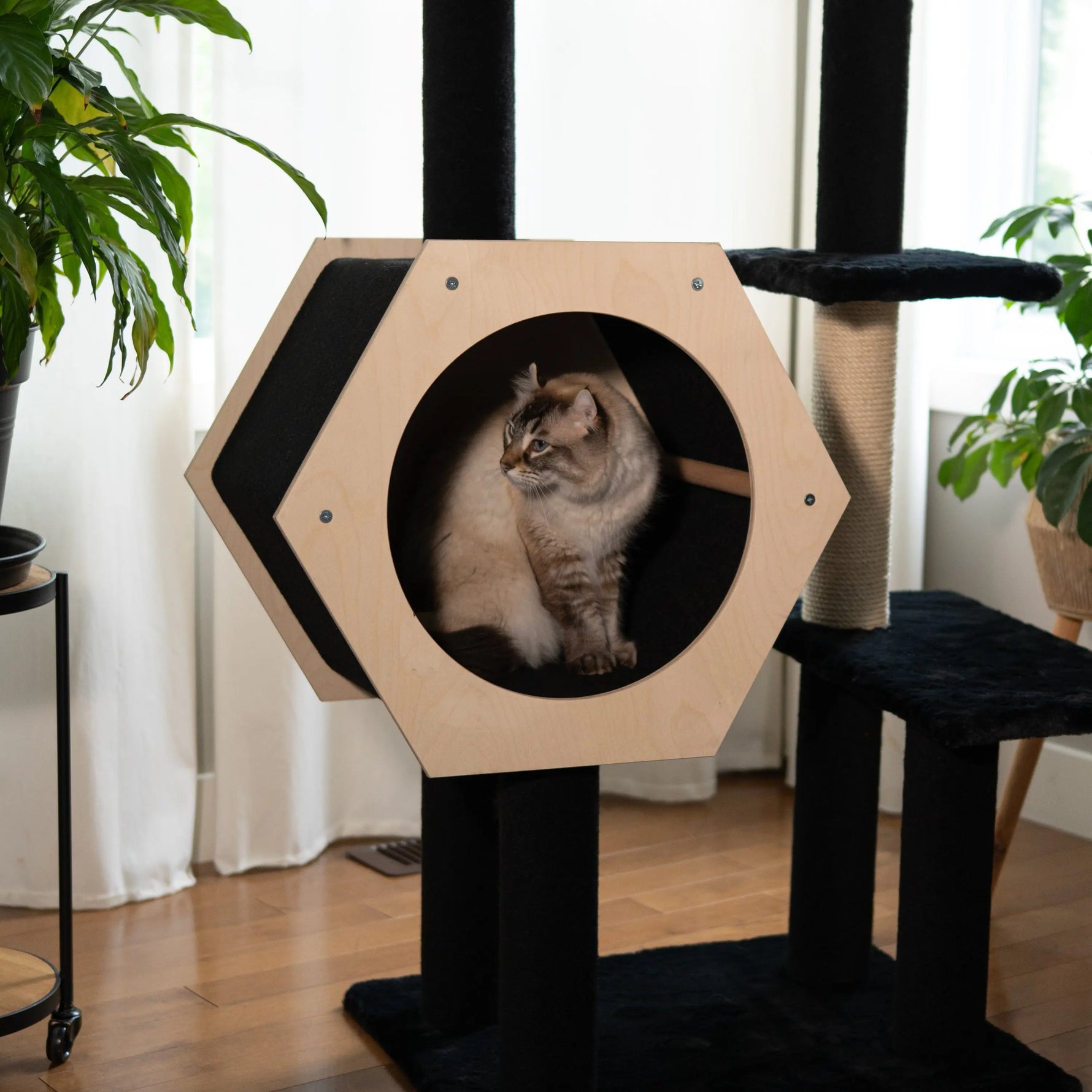 Hexagon House - 4-Level Cat Tree Noba Animal Co.