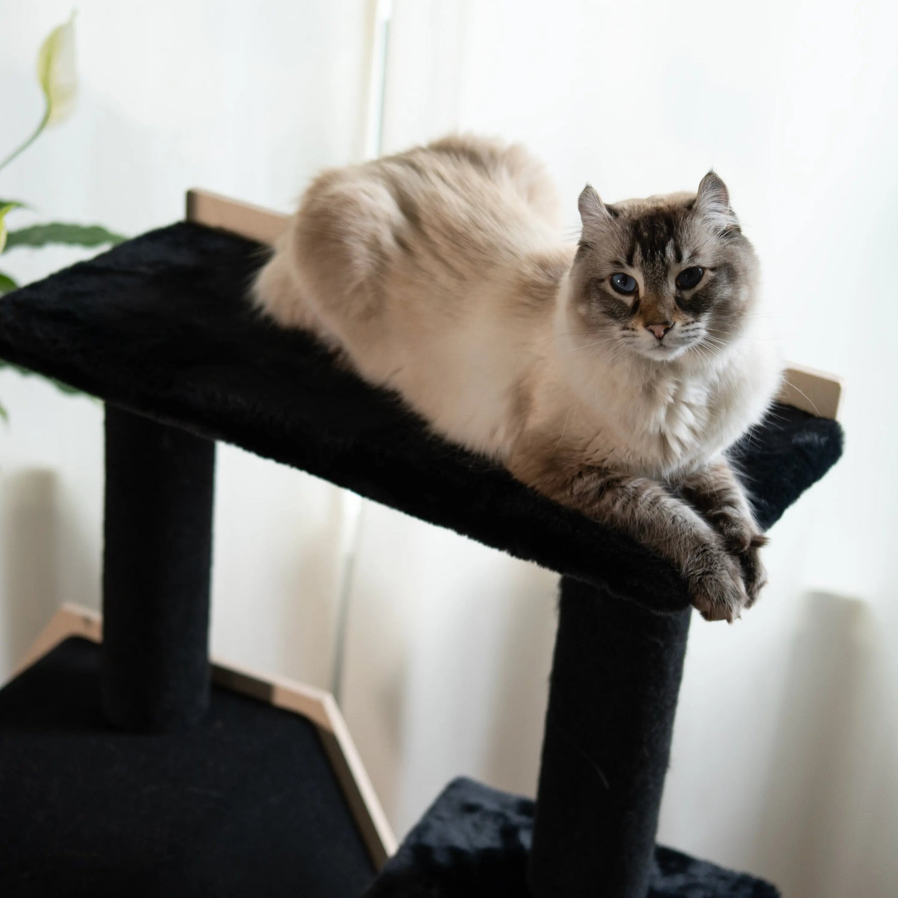 Hexagon House - 4-Level Cat Tree Noba Animal Co.