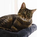 Hut Hideout - Deluxe 3-Level Cat Tree Noba Animal Co.