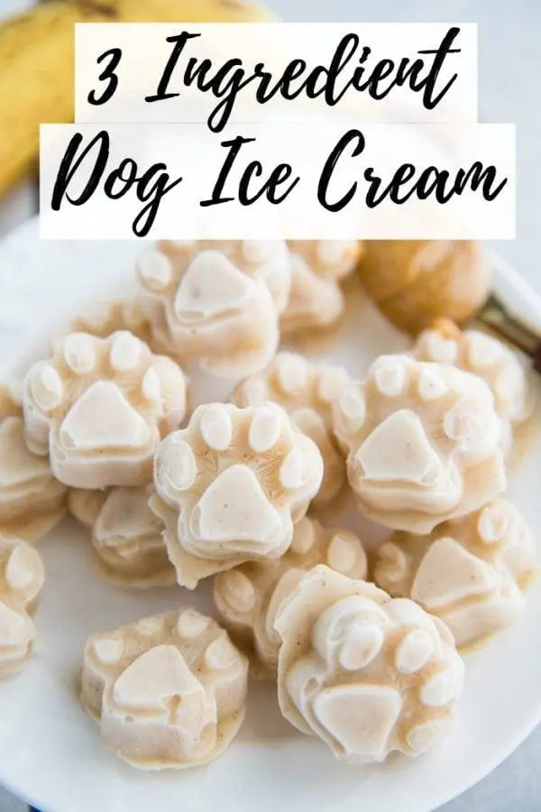 Ice Cream for Dogs - PAWMART.ca