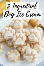 Ice Cream for Dogs PAWMART