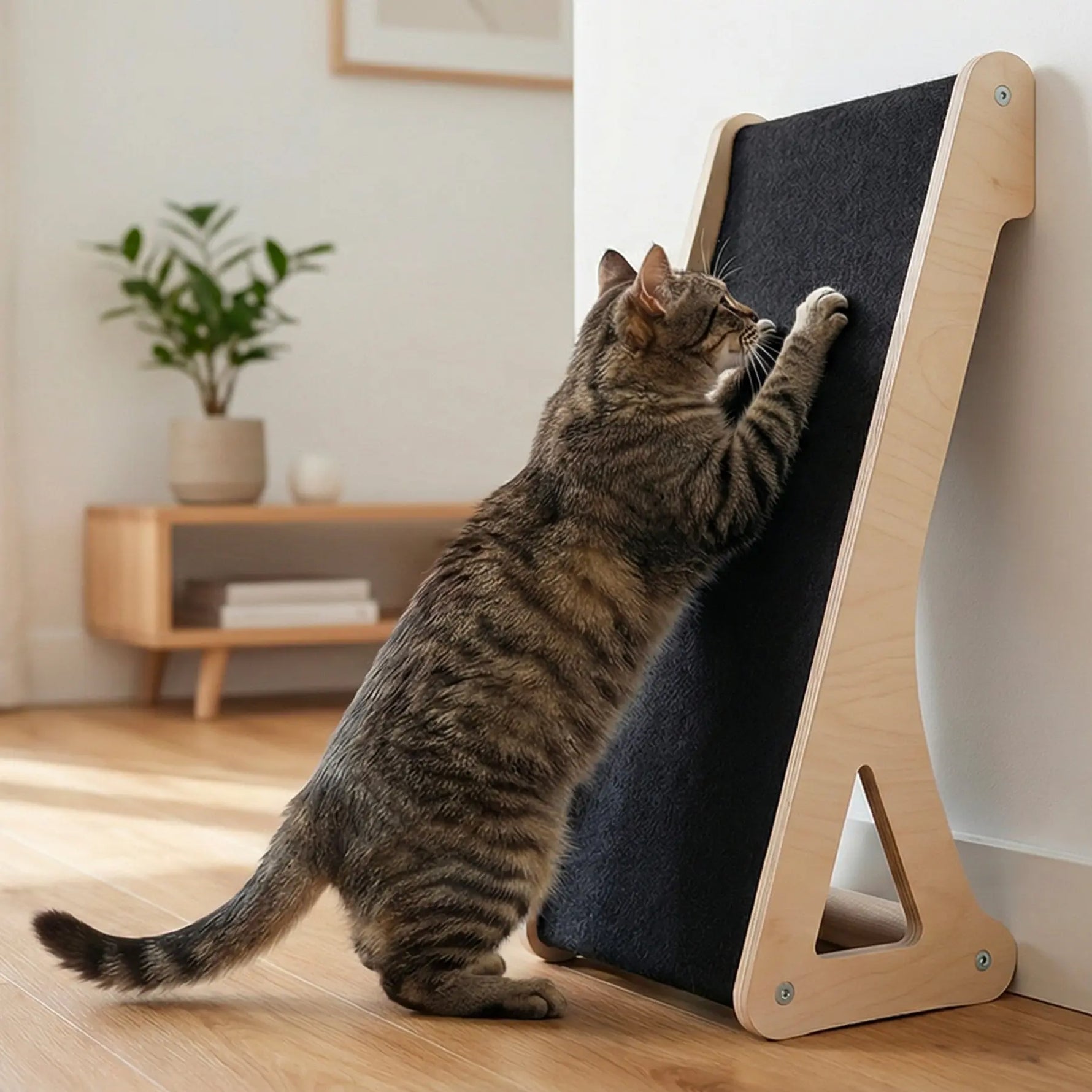 Inclined Wall & Floor Cat Scratcher Noba Animal Co.