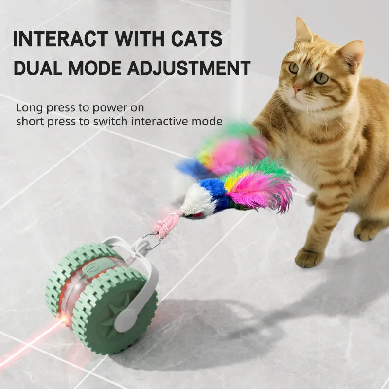 Interactive Laser & Mouse Cat Toy Doge N Cate