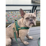 Jade dog leash Puccissimé Pet Couture