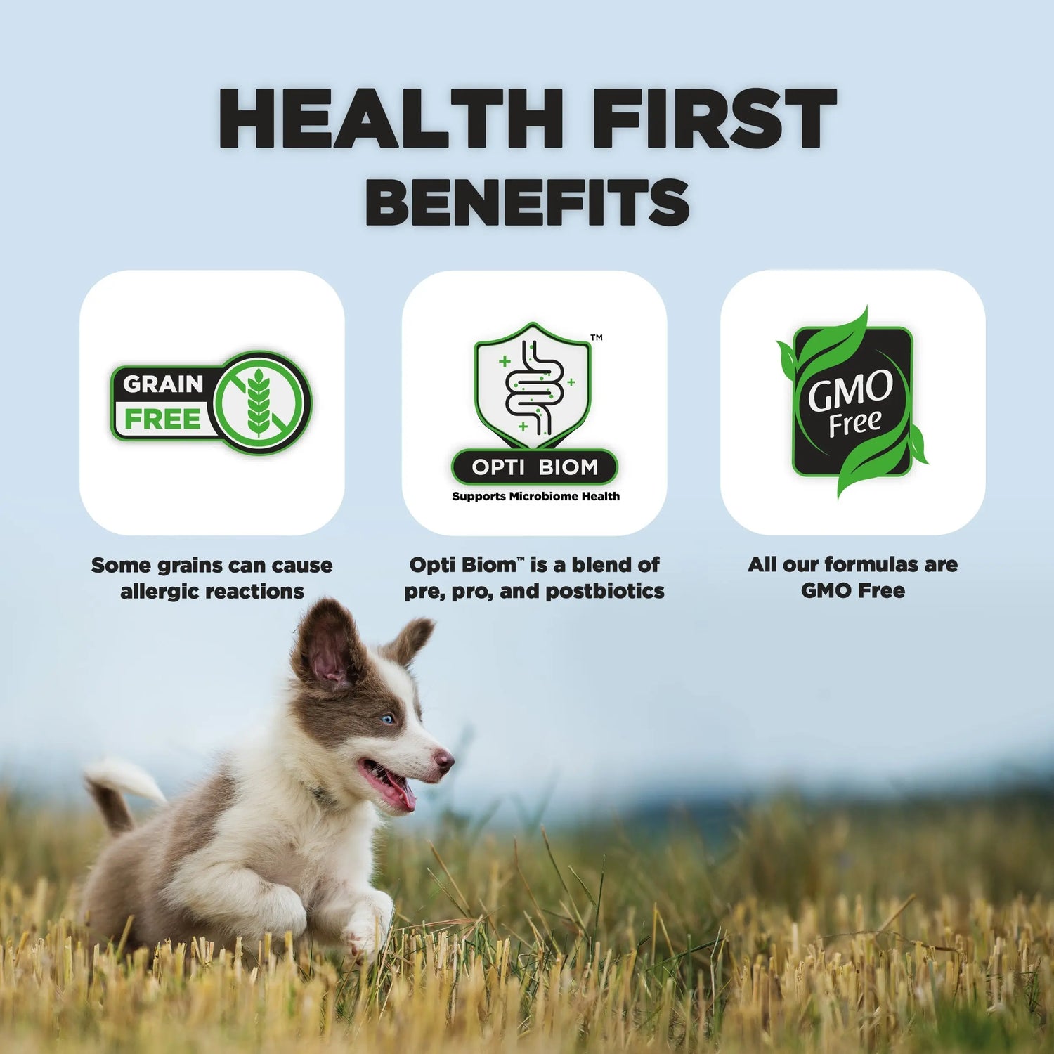 Junior, Dog Food for Medium & Large Breeds (First Year) With SRT™ Nature’s HUG™ Pet Food Inc.