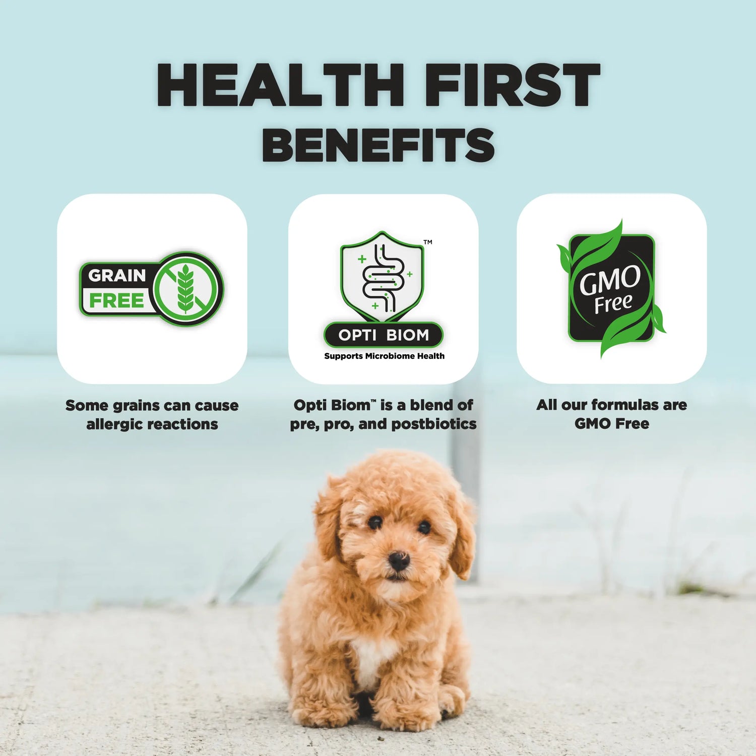 Junior, Dog Food for Toy & Small Breeds (First Year) With SRT™ Nature’s HUG™ Pet Food Inc.