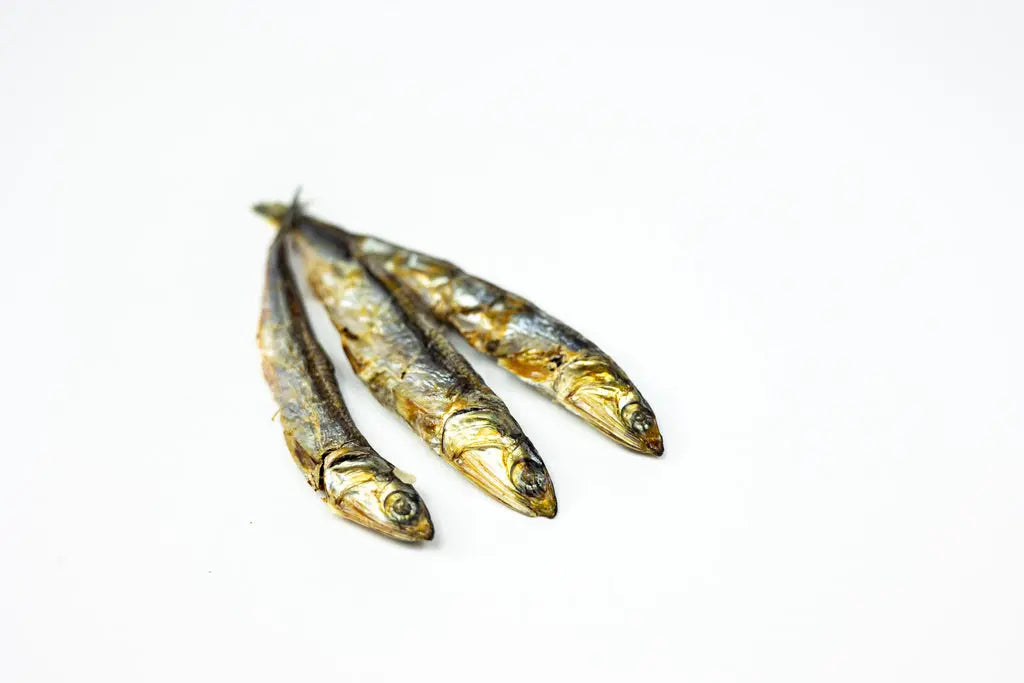 JustRaw - Dehydrated Anchovies - Dog Treats PAWMART.ca Canadian Pet Store & Pet Grooming