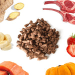 Lamb + Salmon Meal Bites healthybud