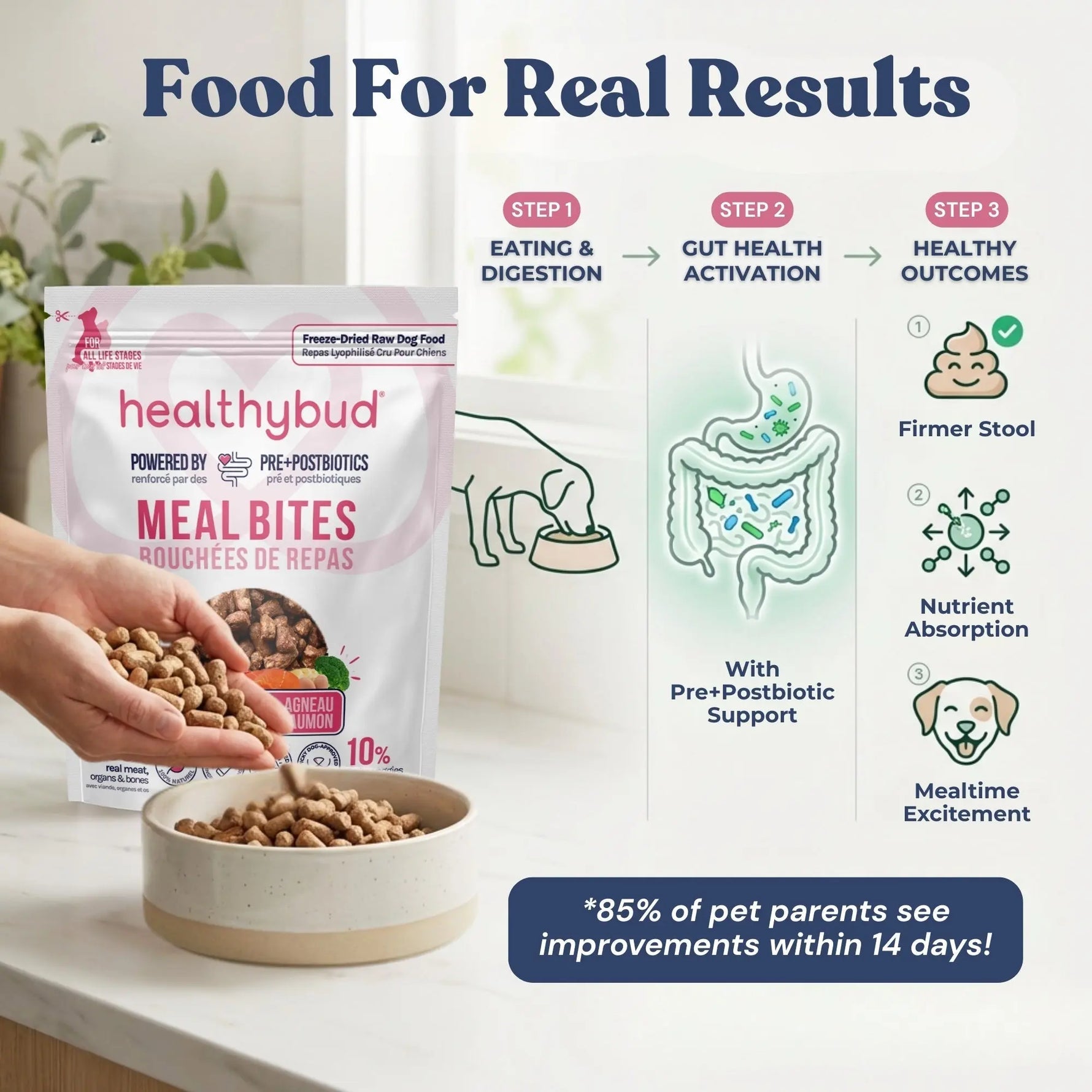 Lamb + Salmon Meal Bites healthybud